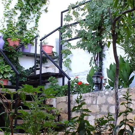 Cakil Kaş