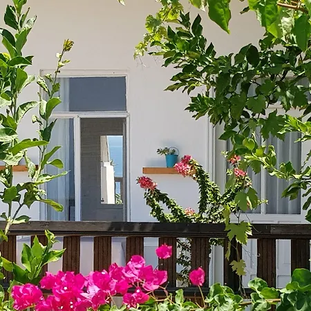 Cakil Kaş